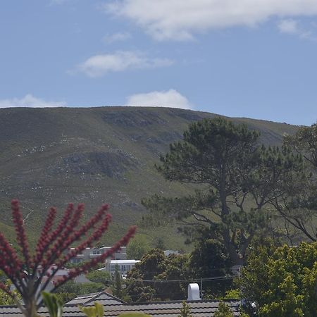Harmony Place Hermanus Bagian luar foto
