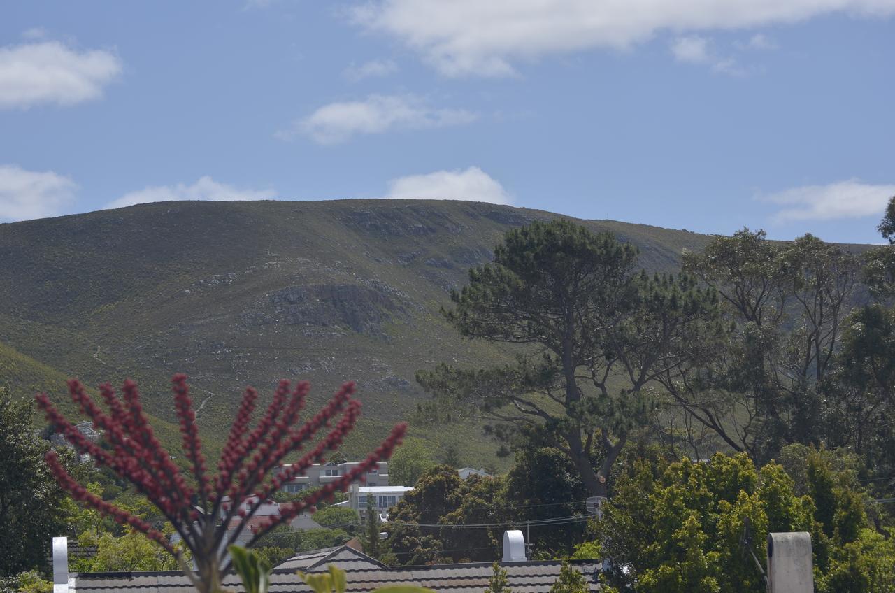 Harmony Place Hermanus Bagian luar foto