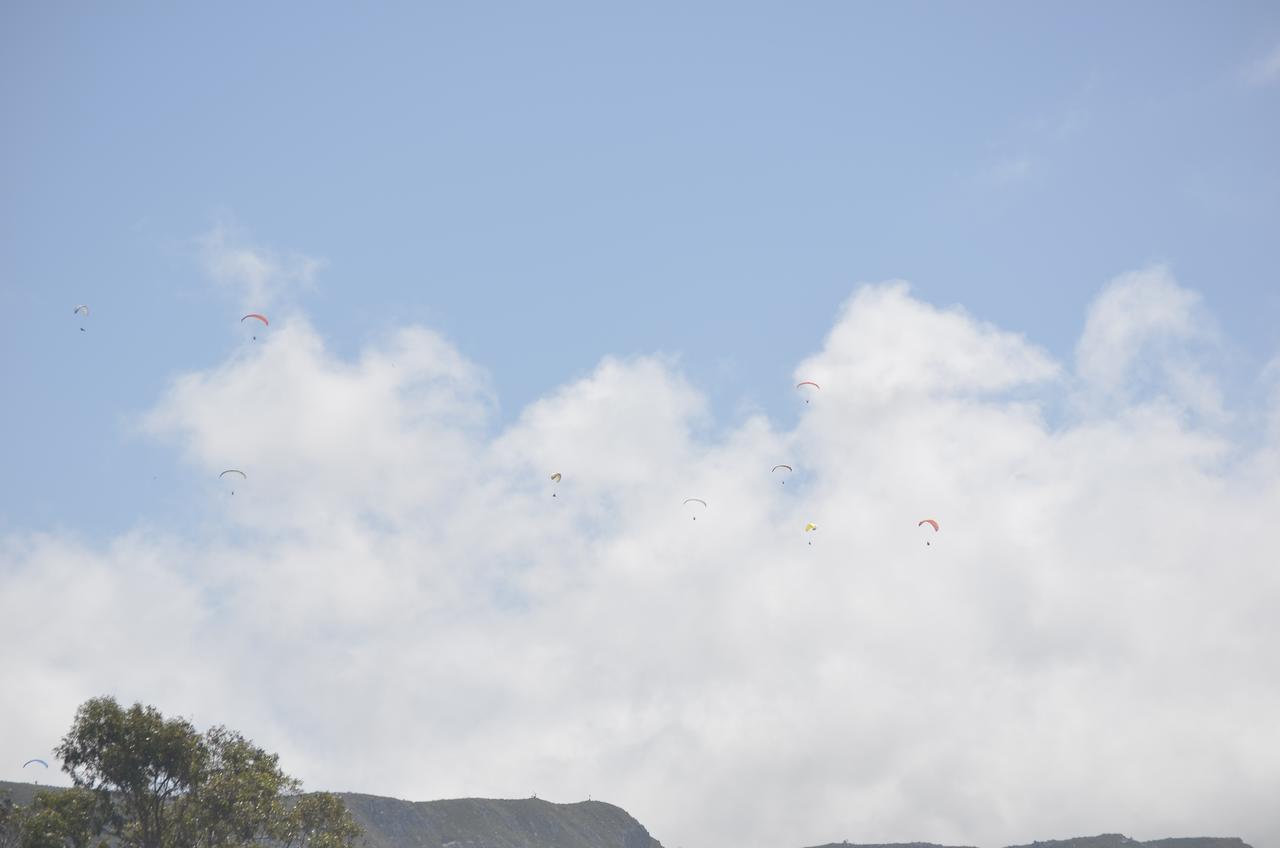 Harmony Place Hermanus Bagian luar foto